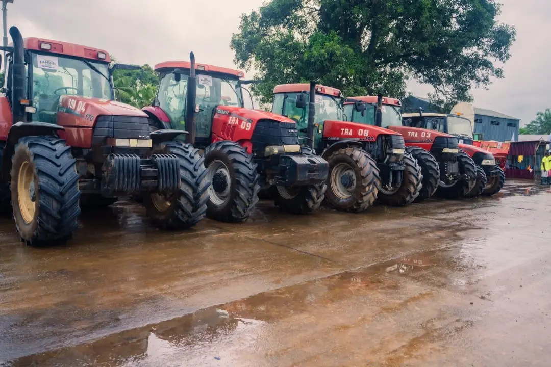 A line of tractors in the Fambul Rice mechanisation fleet