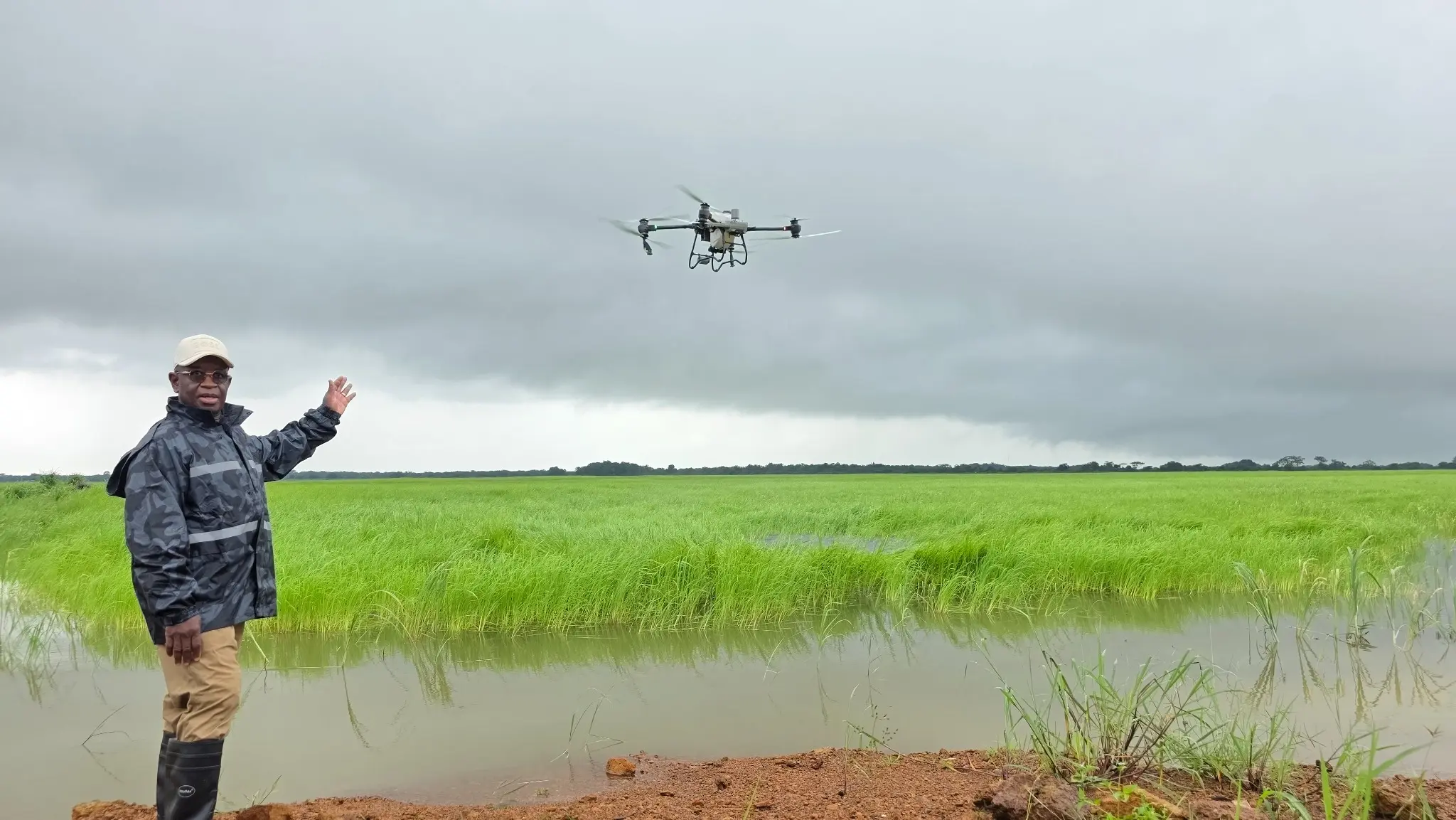 President Julius Maada Bio observes an agricultural drone flying above Fambul Rice fields